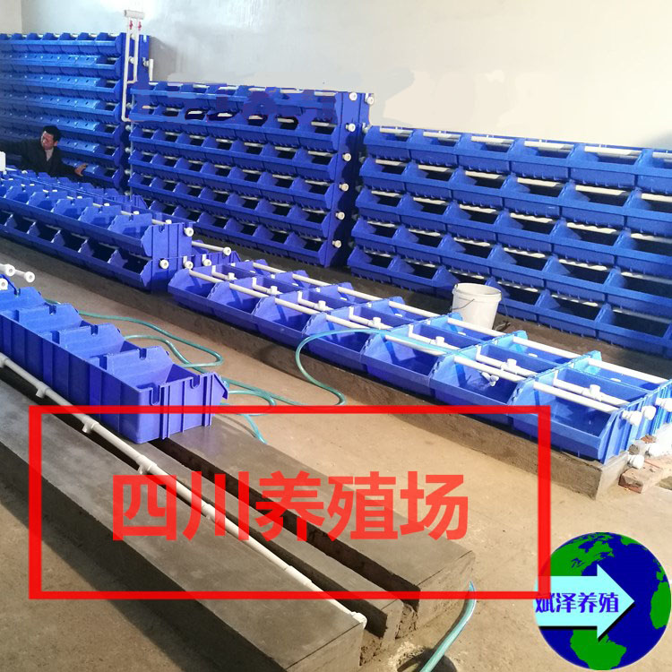 小龙虾室内繁育设备  蟹公寓    室内养蟹箱