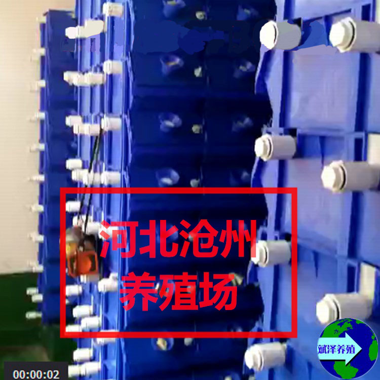 澳洲淡水小龙虾繁育    青蟹繁育箱