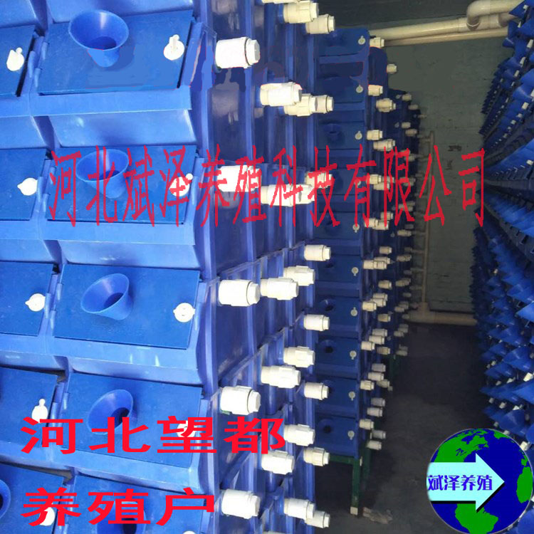 河北望都繁育场