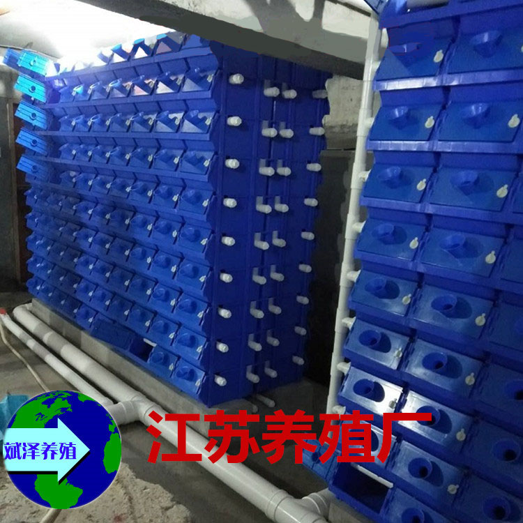 室内工厂化无菌繁育青蟹龙虾