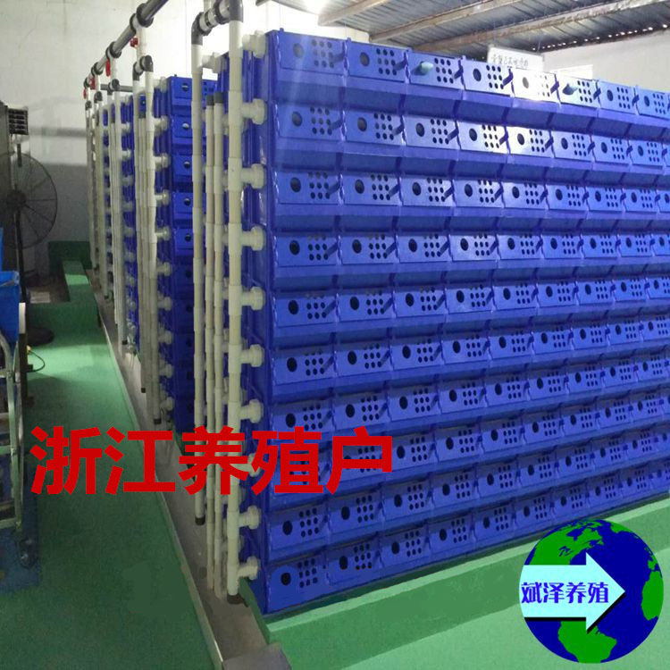 室内蟹公寓繁育设备 河蟹青蟹梭子蟹繁育